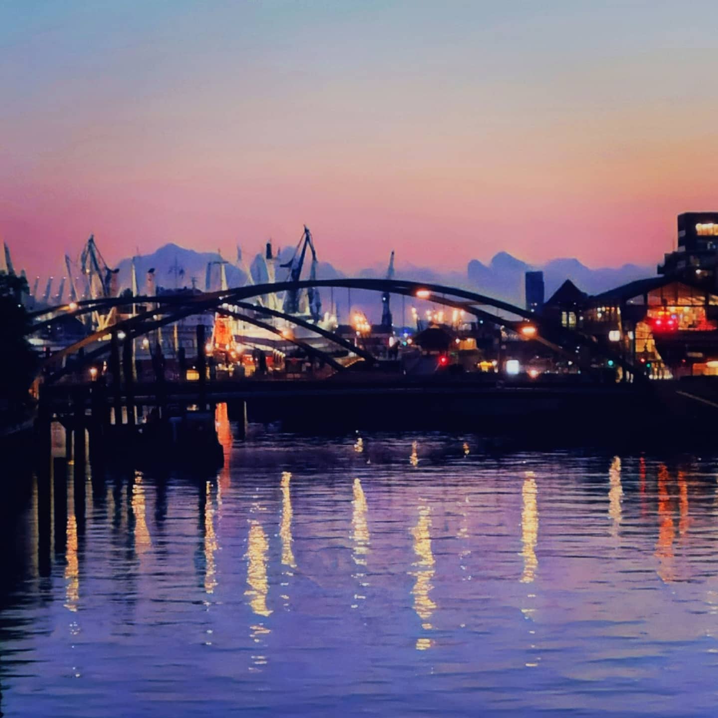 Romio Hasan Portrait